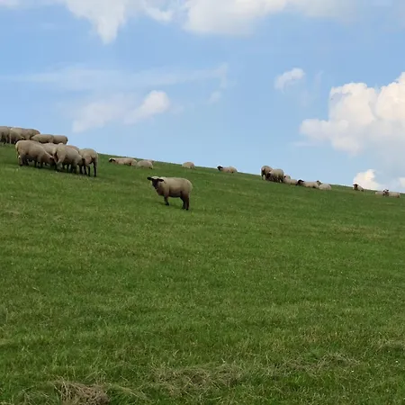 Haus Jadeperle Sehestedt (Lower-Saxony)